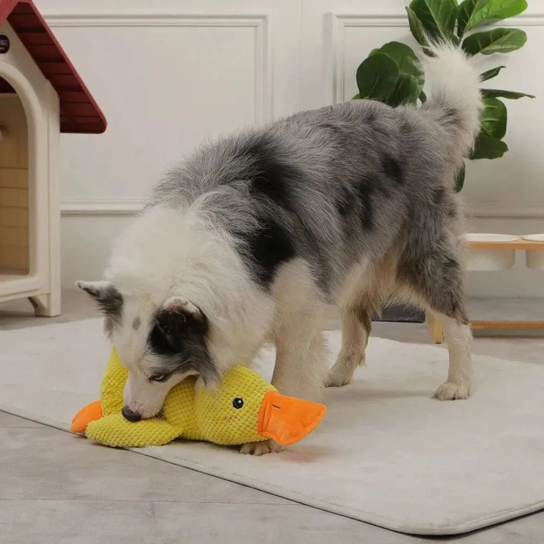 CuddleDuck Calming Dog Toy - Swag Pups