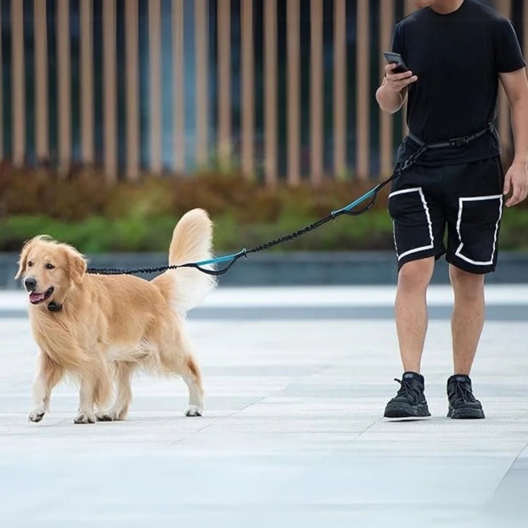 GoPaw Hands - Free Leash - Swag Pups