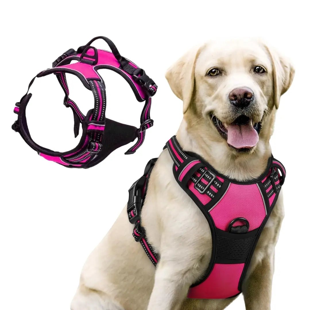 TrueControl No Pull Dog Harness - Swag Pups