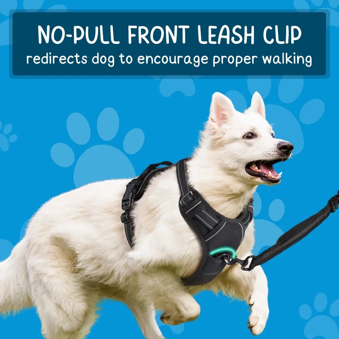 TrueControl No Pull Dog Harness - Swag Pups