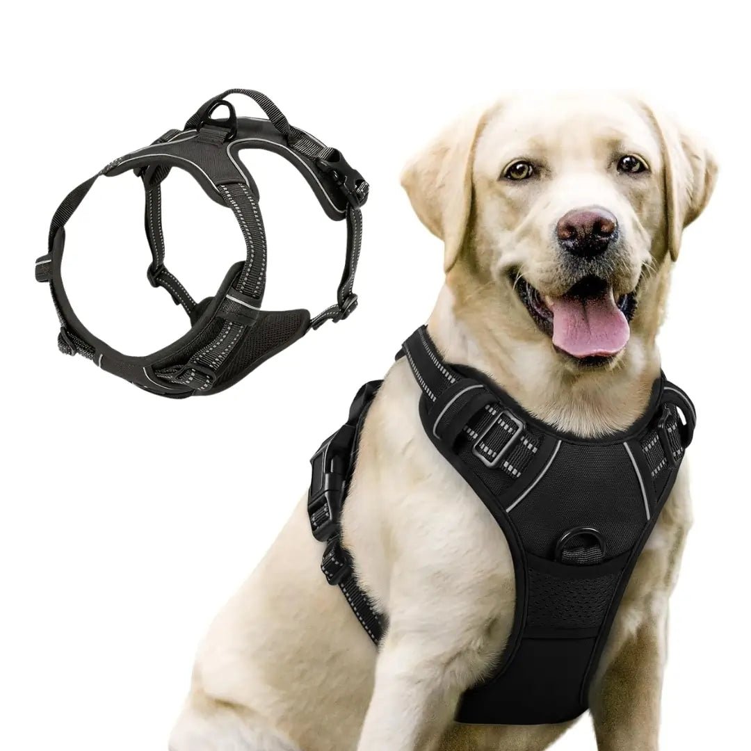 TrueControl No Pull Dog Harness - Swag Pups