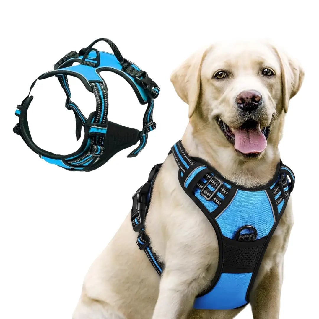 TrueControl No Pull Dog Harness - Swag Pups