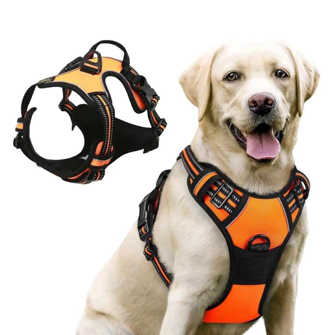 TrueControl No Pull Dog Harness - Swag Pups