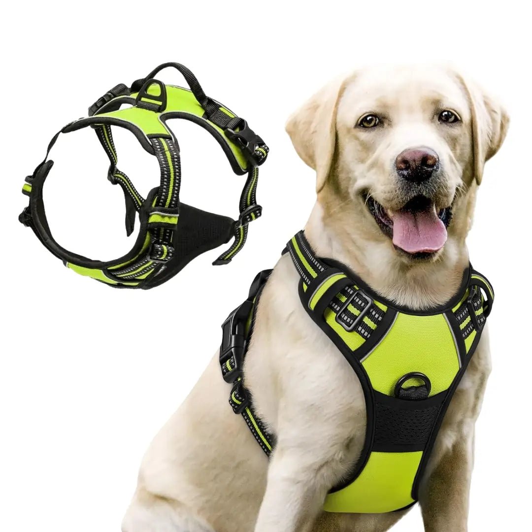 TrueControl No Pull Dog Harness - Swag Pups